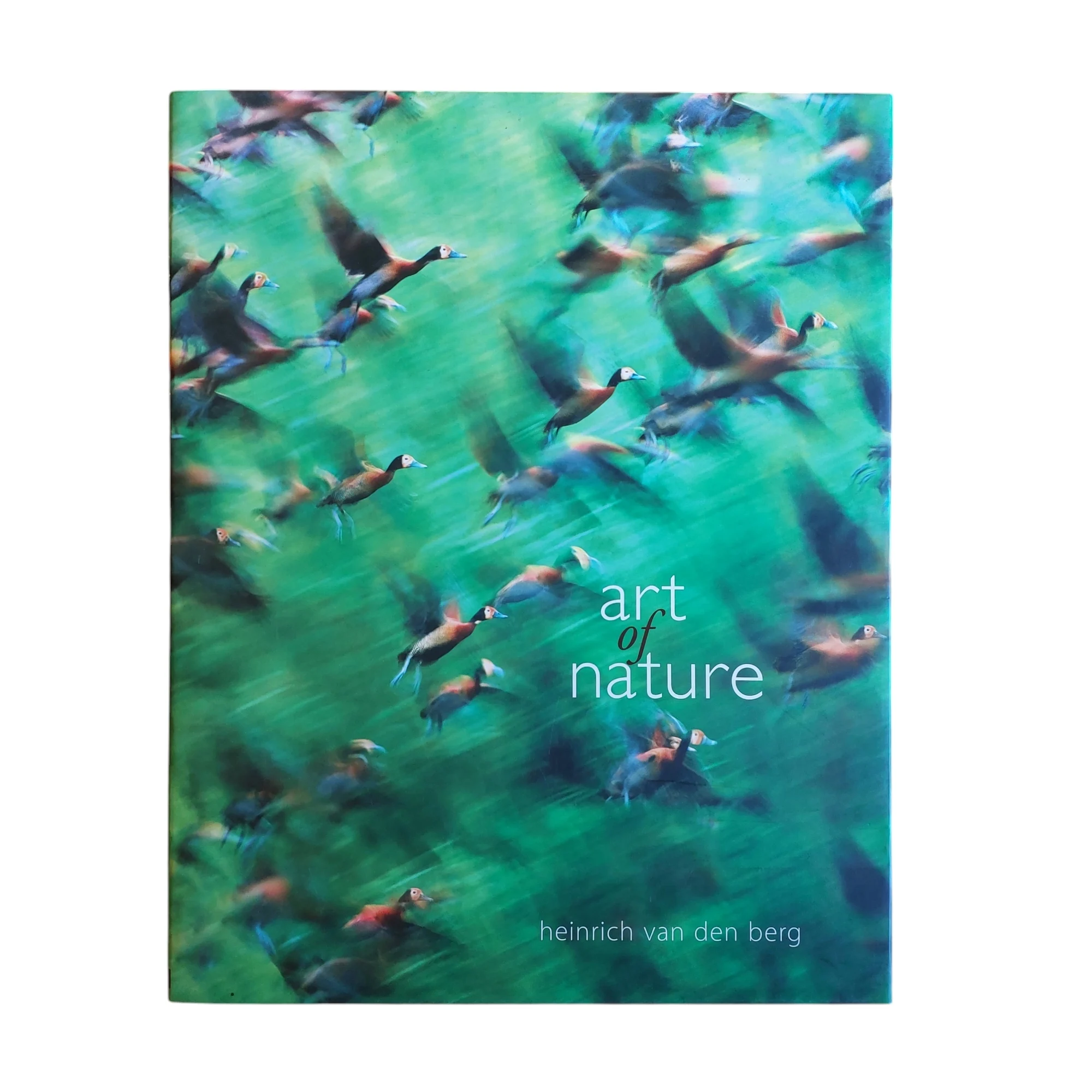 Art of Nature