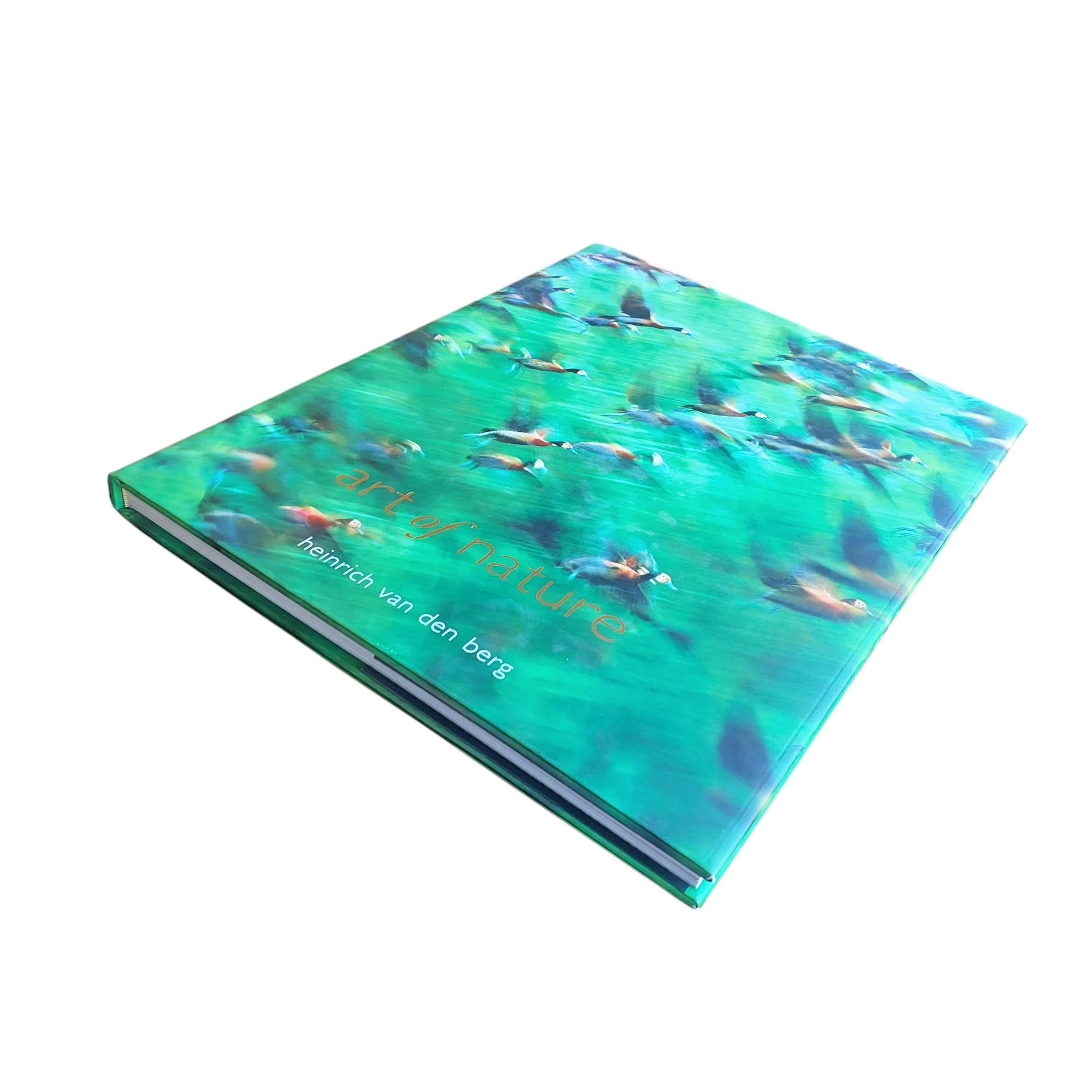 Art of Nature - Image 3