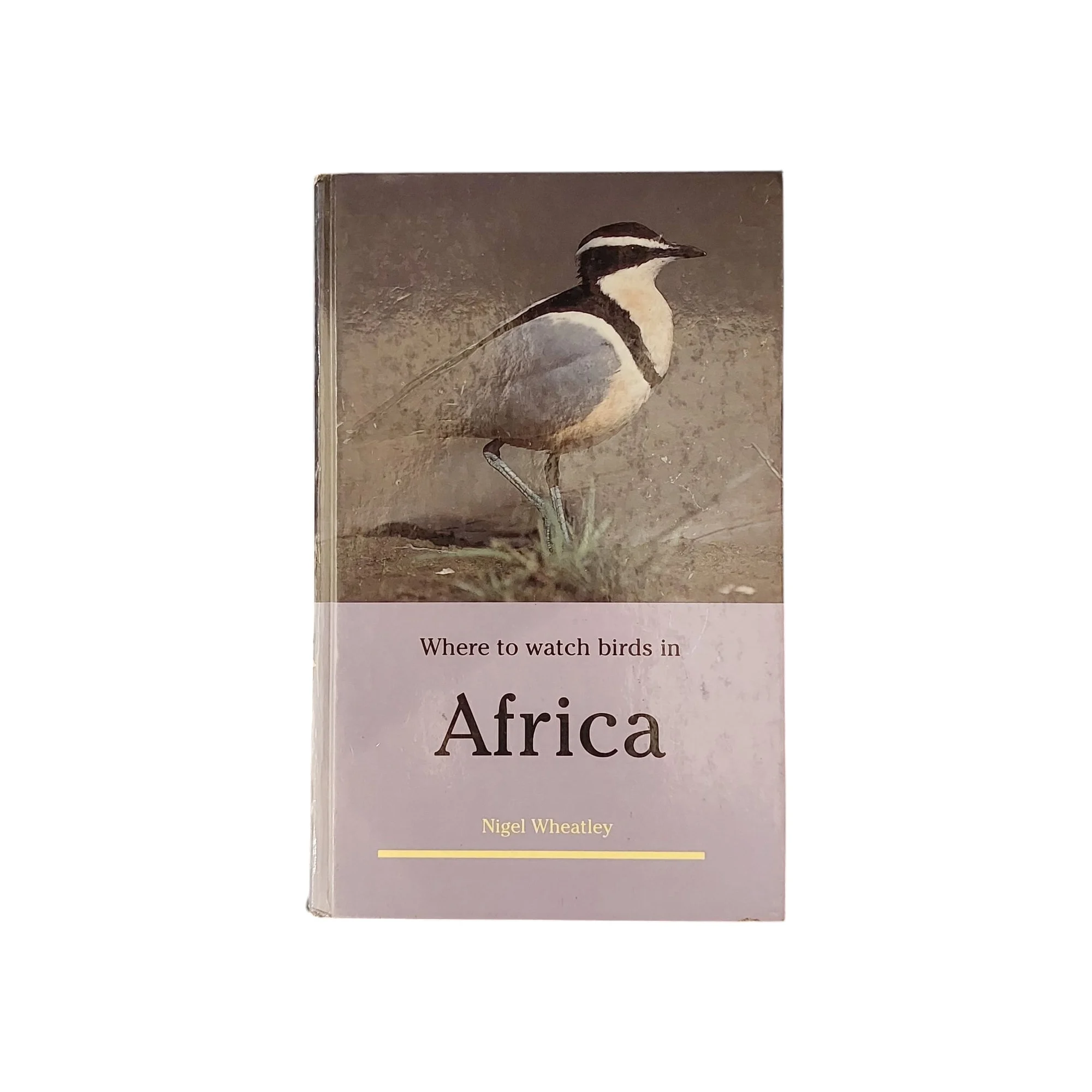 Where to watch birds in Africa