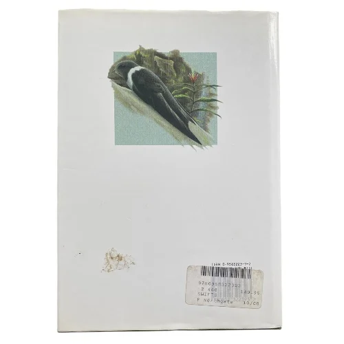 Swifts - Image 2