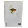 Rails (Signed by Author) - Image 3