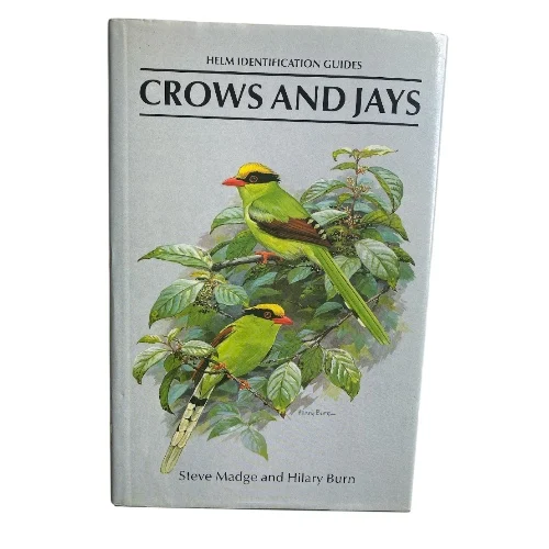 Crows and Jays