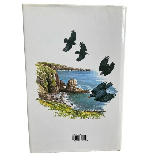 Crows and Jays - Image 2