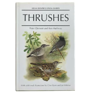 Thrushes