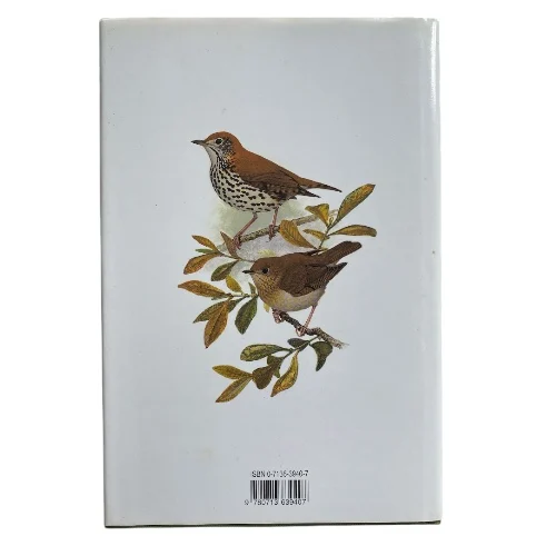 Thrushes - Image 2