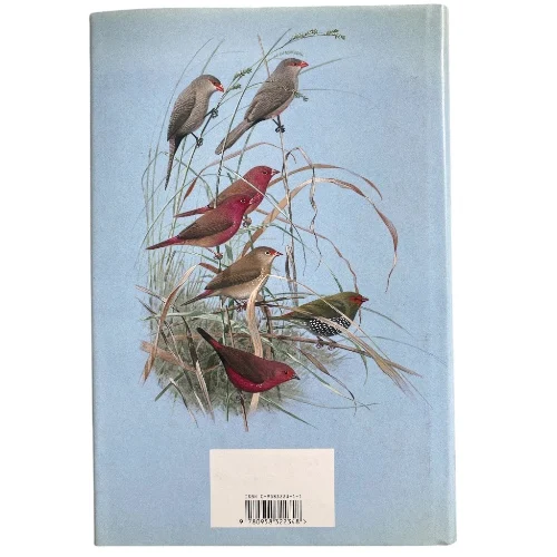 Finches & Sparrows - Image 2