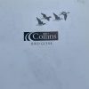 Collins Bird Guide - Image 2