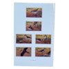 The Birds of St. Helena - Image 2
