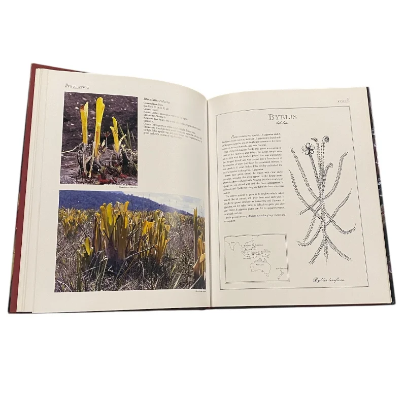 Letts Guide to Carnivorous Plants of the World - Image 3