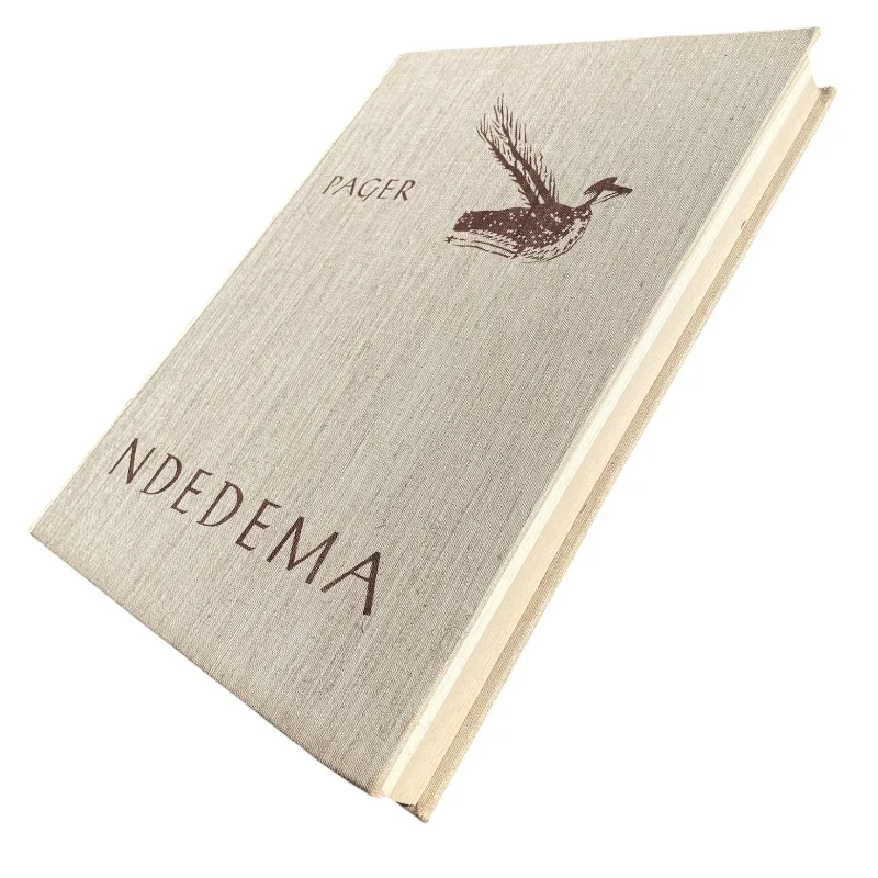 Ndedema - Image 3