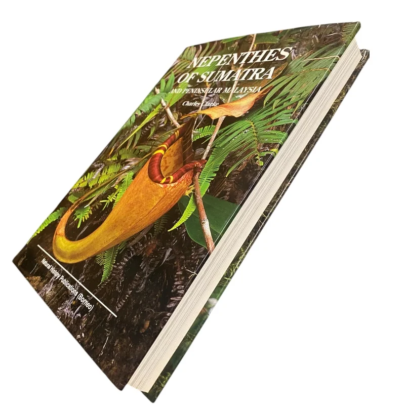 Nepenthes of Sumatra and Peninsular Malaysia - Image 3