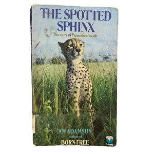 The Spotted Sphinx