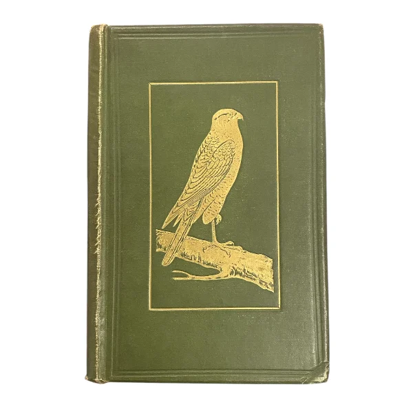 British Birds in their Haunts