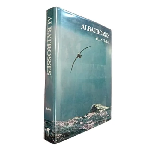 Albatrosses - Image 2