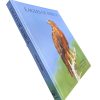Eagles of Africa - Image 4