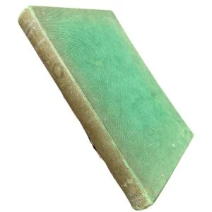 The Magicians Nephew (First Edition)