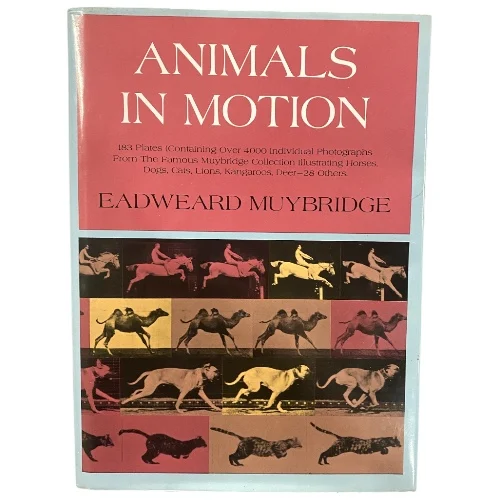 Animals in Motion