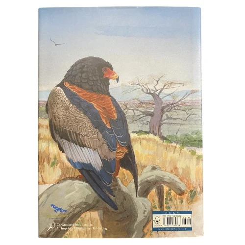 African Raptors - Image 2