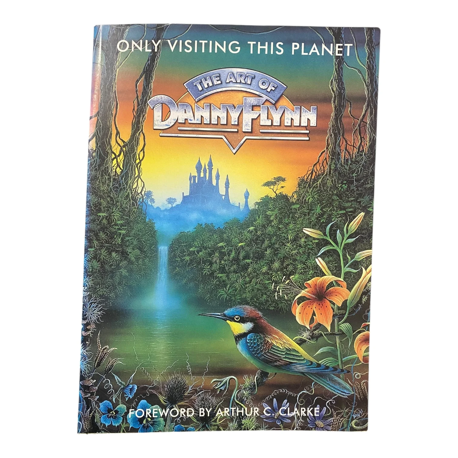 Only Visiting This Planet: The Art of Danny Flynn