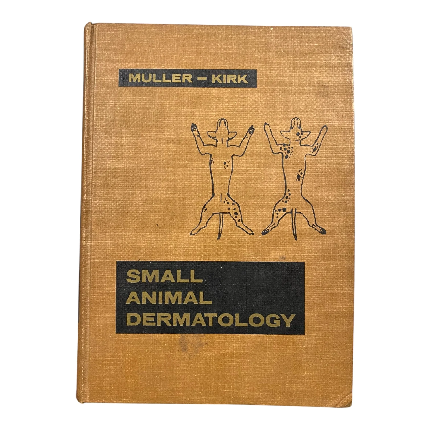 Small Animal Dermatology
