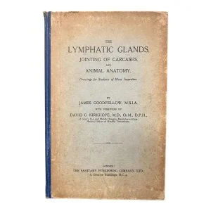 The Lymphatic Glands