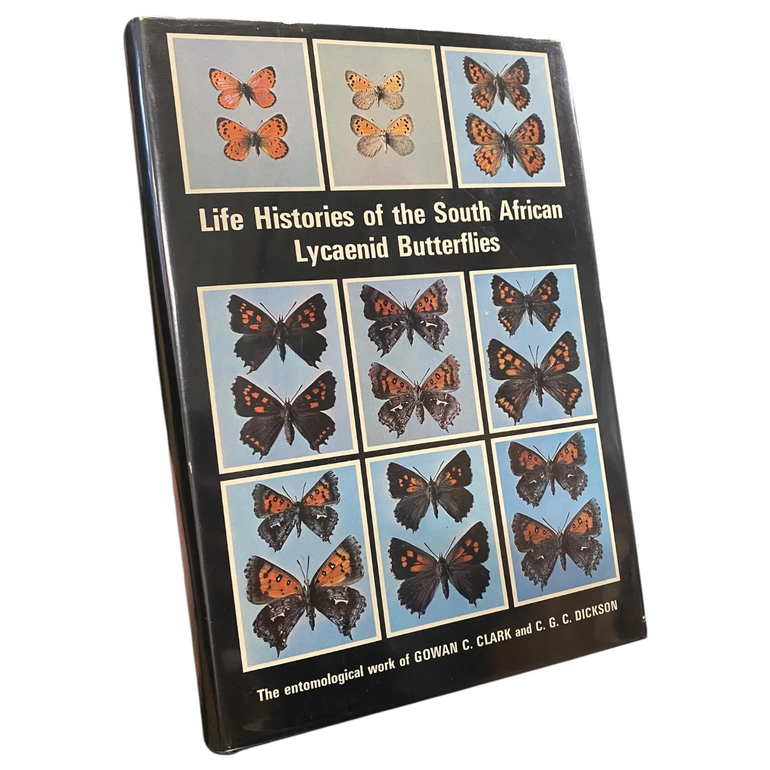 Life Histories of the South African Lycaenid Butterflies