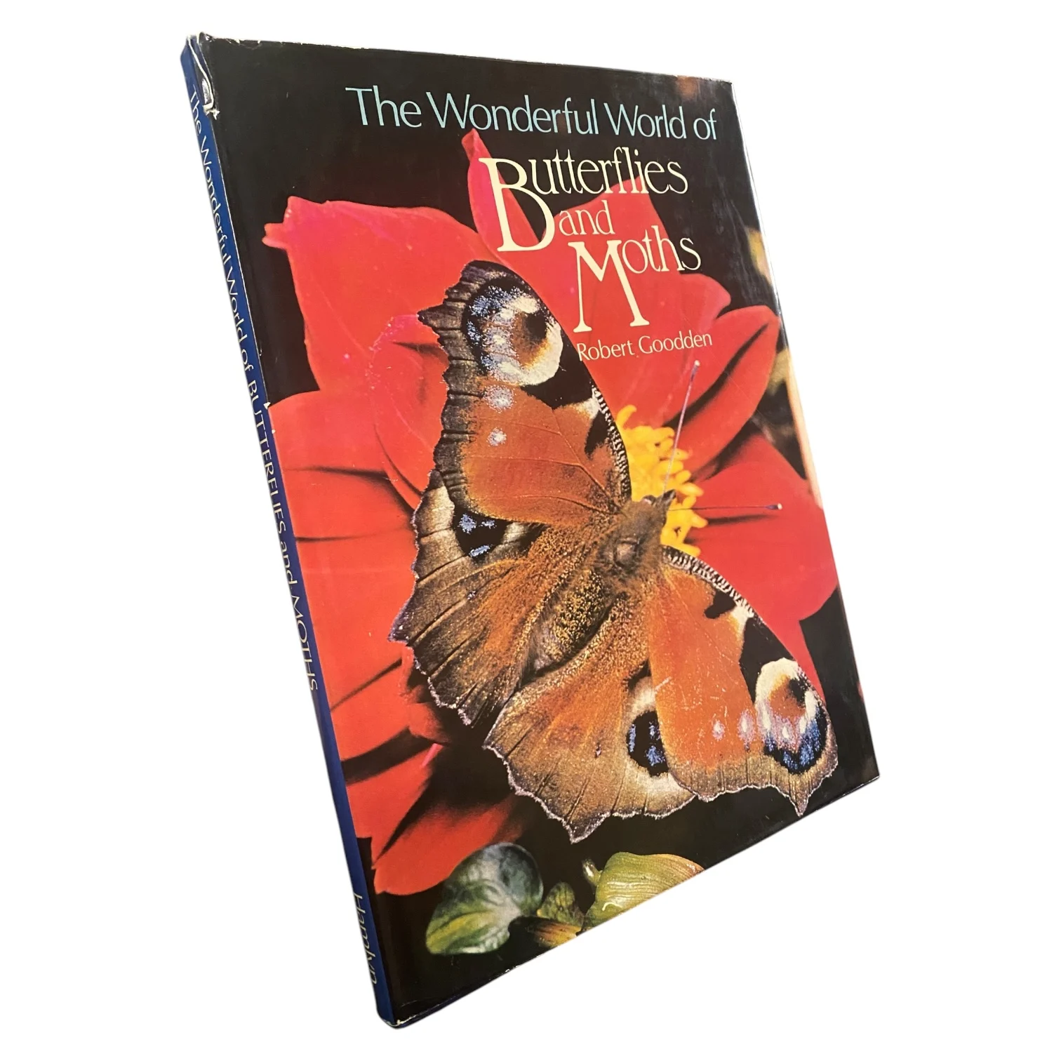 The Wonderful World of Butterflies and Moths