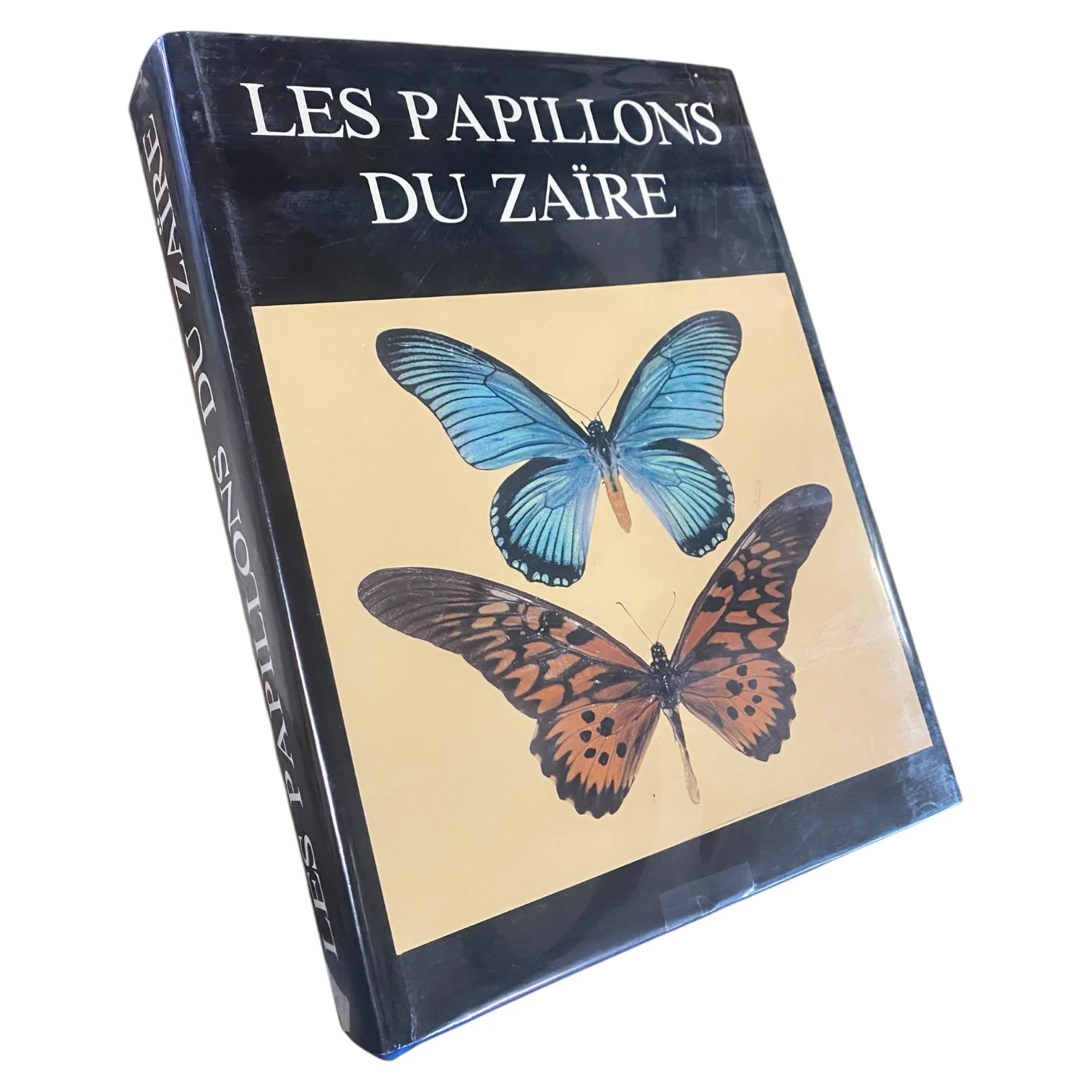 Les Papillons du Zaïre