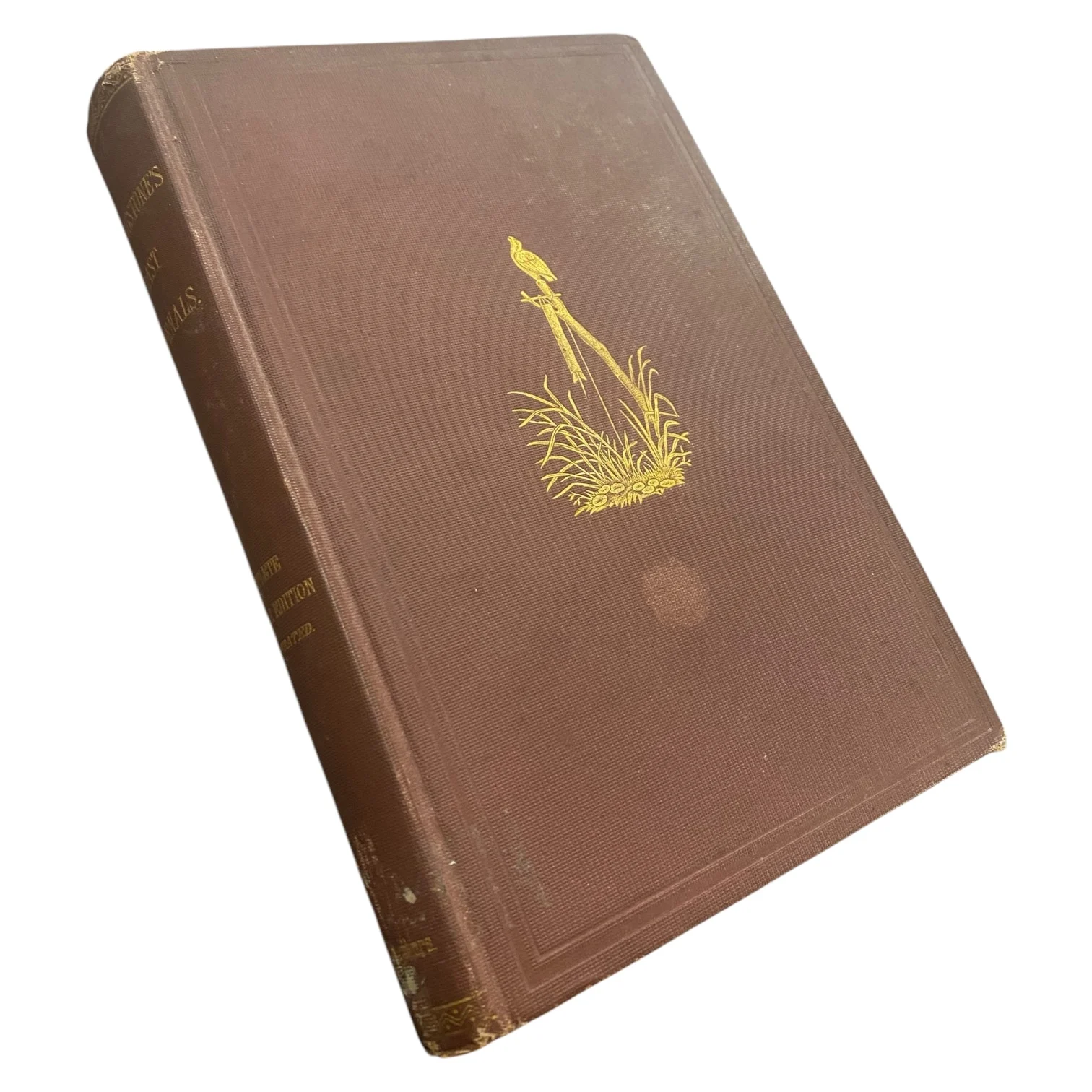 Livingstone's Last Journals