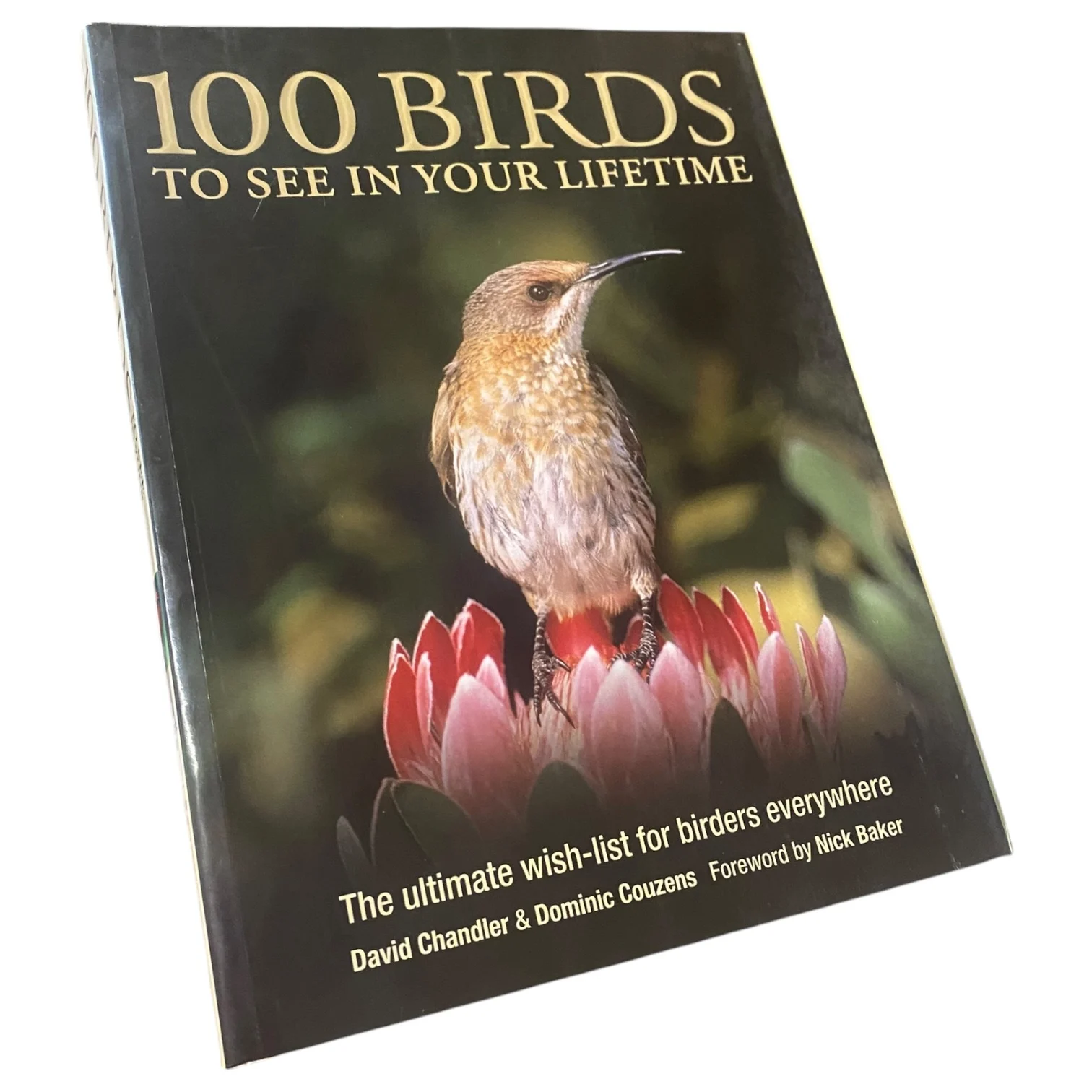 100 Birds To See in Your Lifetime