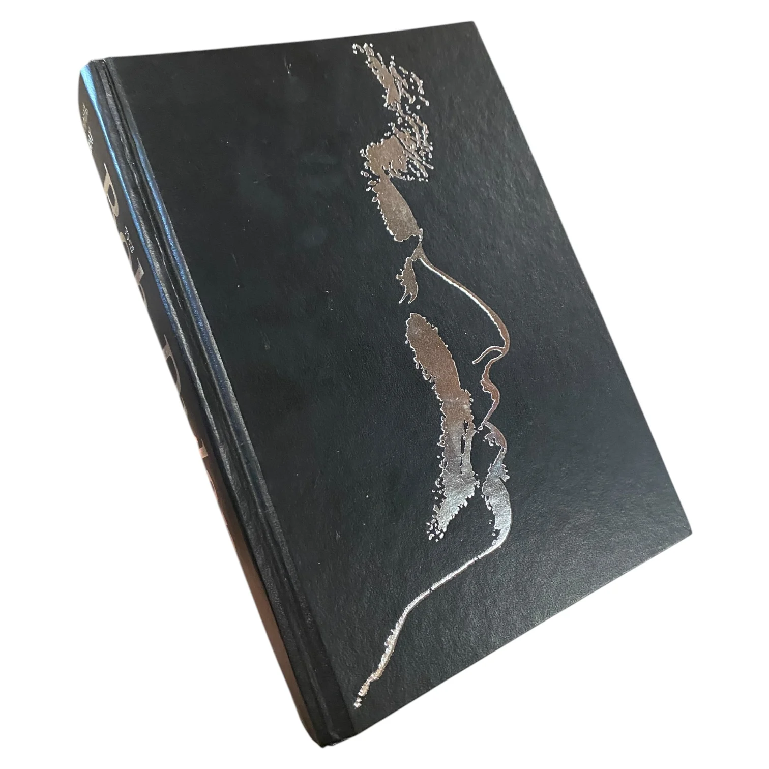 The Bob Dylan Encyclopaedia