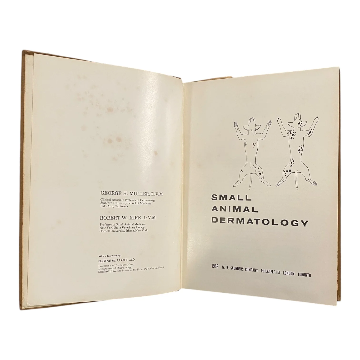 Small Animal Dermatology - Image 2