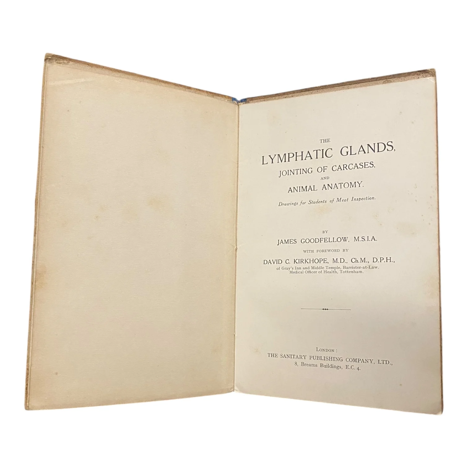 The Lymphatic Glands - Image 2