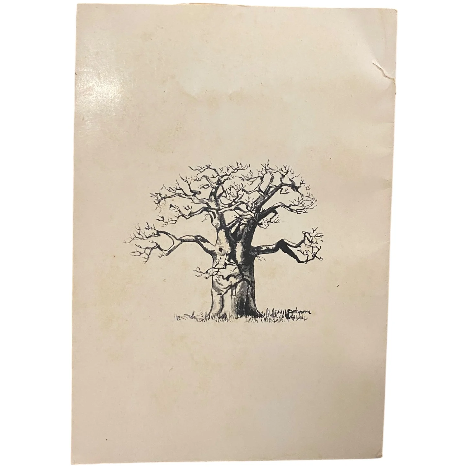 Murray Macdougal and the Story of Triangle (Signed) - Image 2
