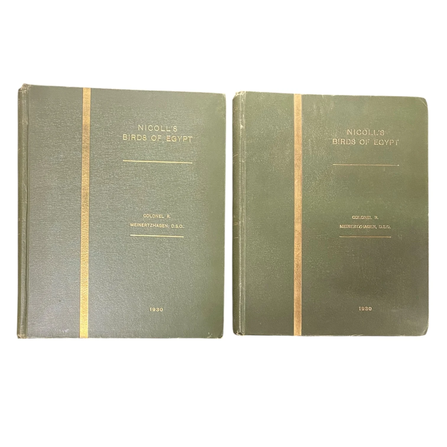 Nicoll's Birds of Egypt Vol. 1 & 2 - Image 2