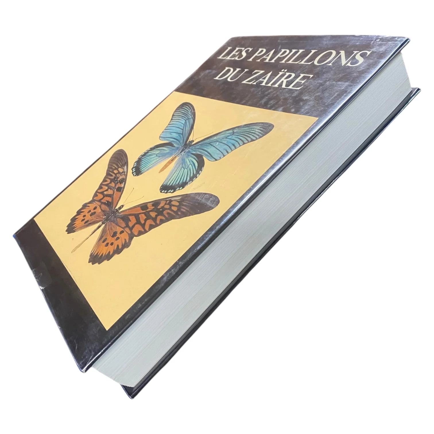 Les Papillons du Zaïre - Image 2
