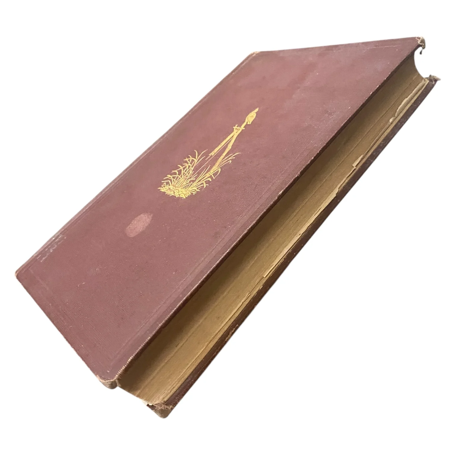 Livingstone's Last Journals - Image 4