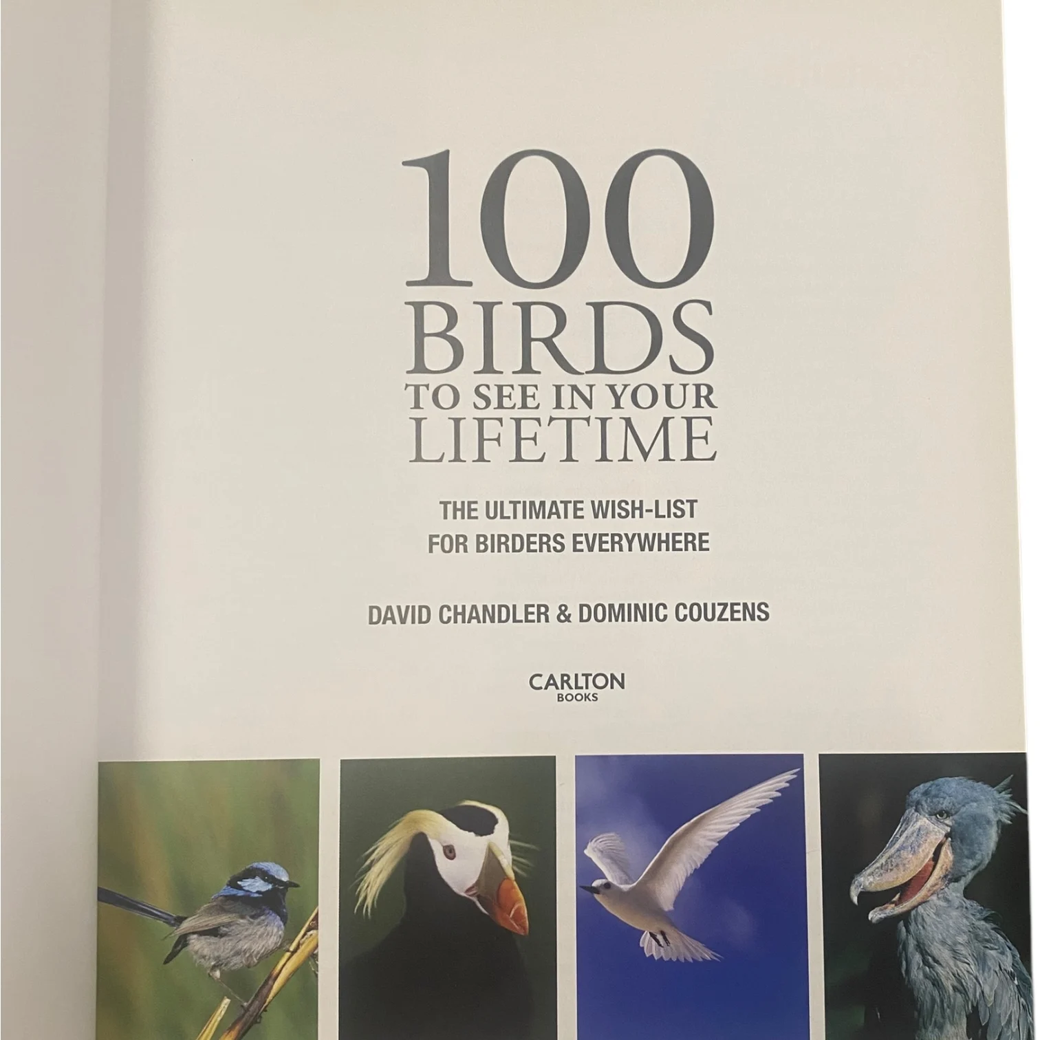 100 Birds To See in Your Lifetime - Image 2