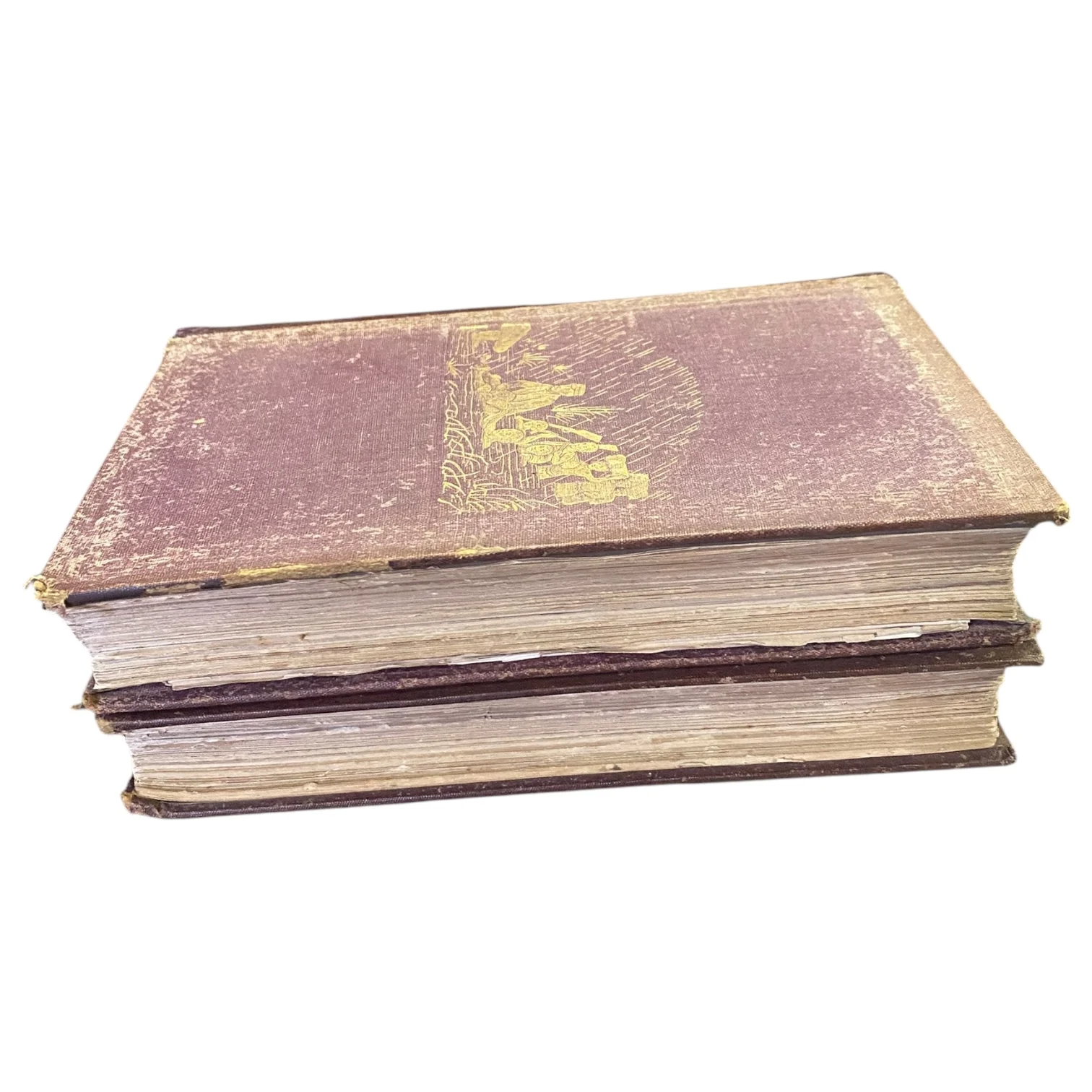 The Last Journals of David Livingstone Vol. 1 & 2 - Image 2