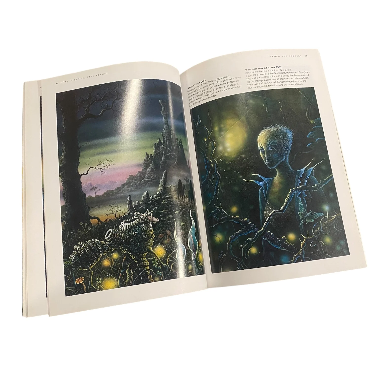 Only Visiting This Planet: The Art of Danny Flynn - Image 3