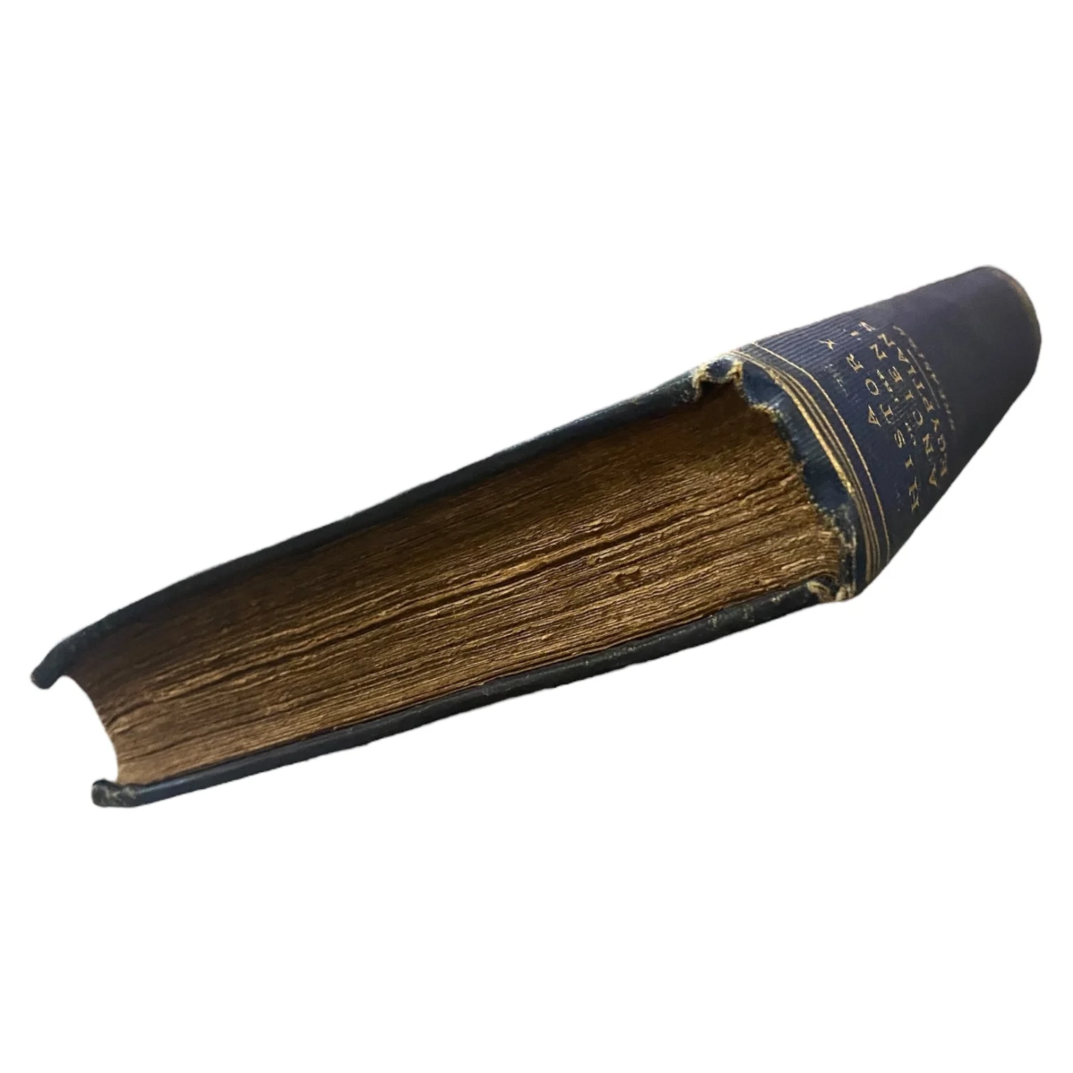 A History of the Ancient Egyptians - Image 3