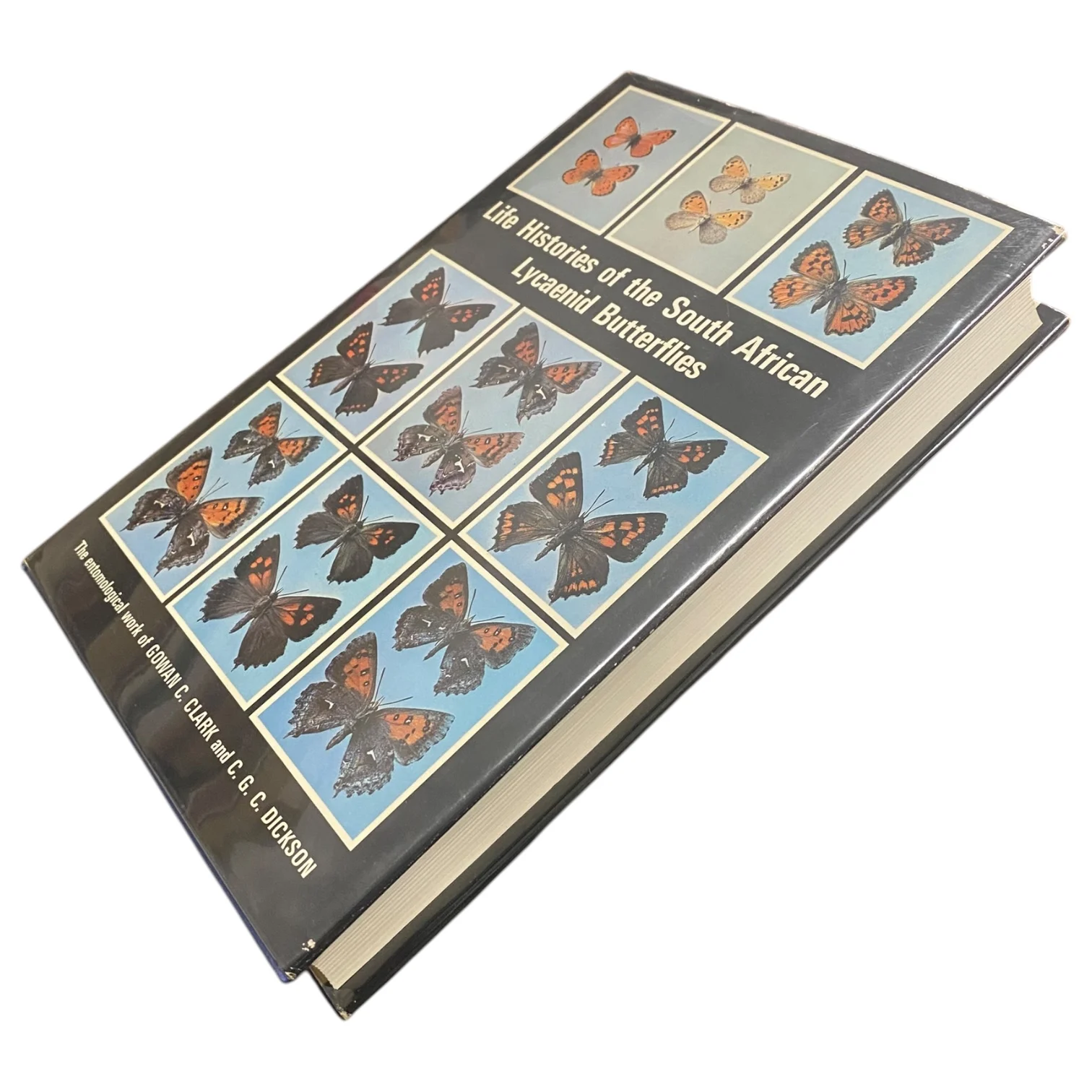 Life Histories of the South African Lycaenid Butterflies - Image 3