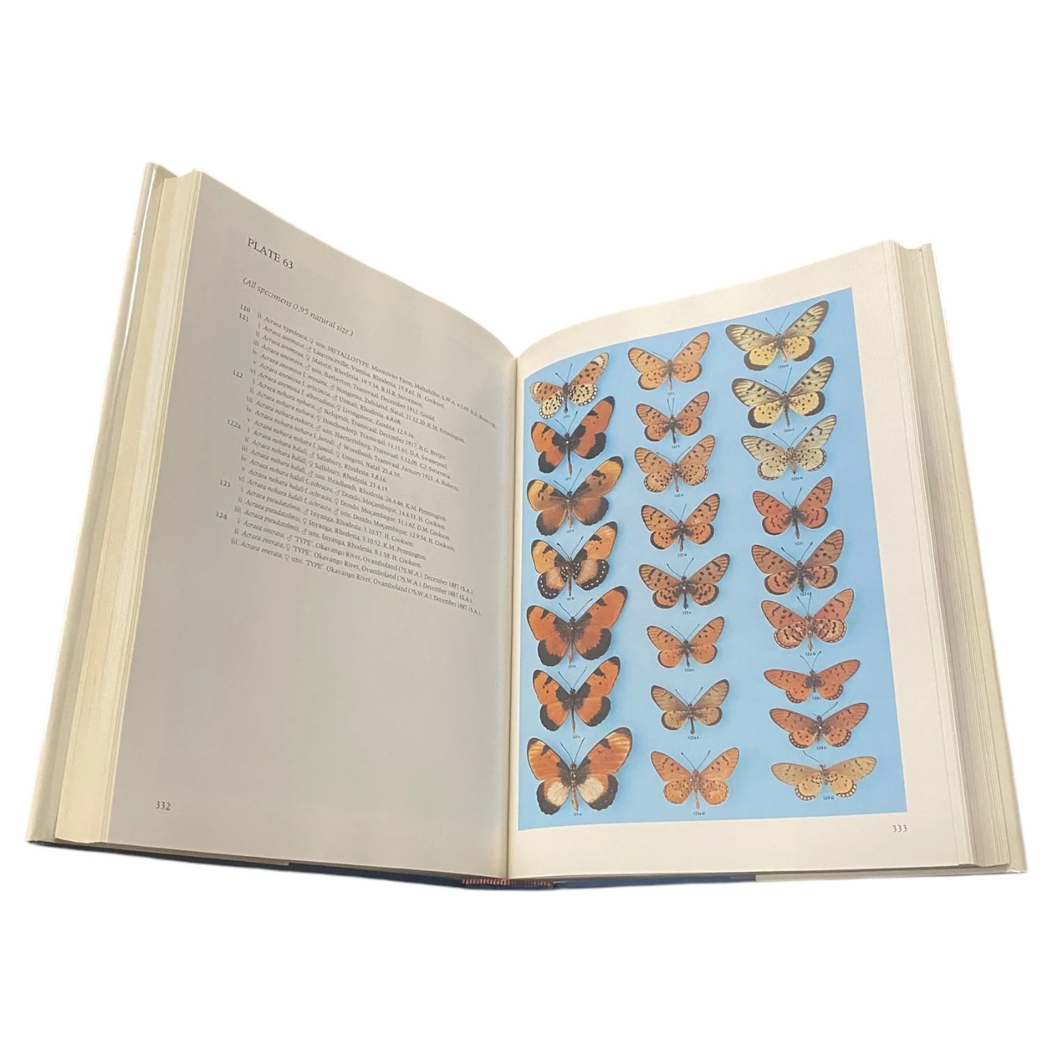 ​Pennington's Butterflies of Southern Africa - Image 3