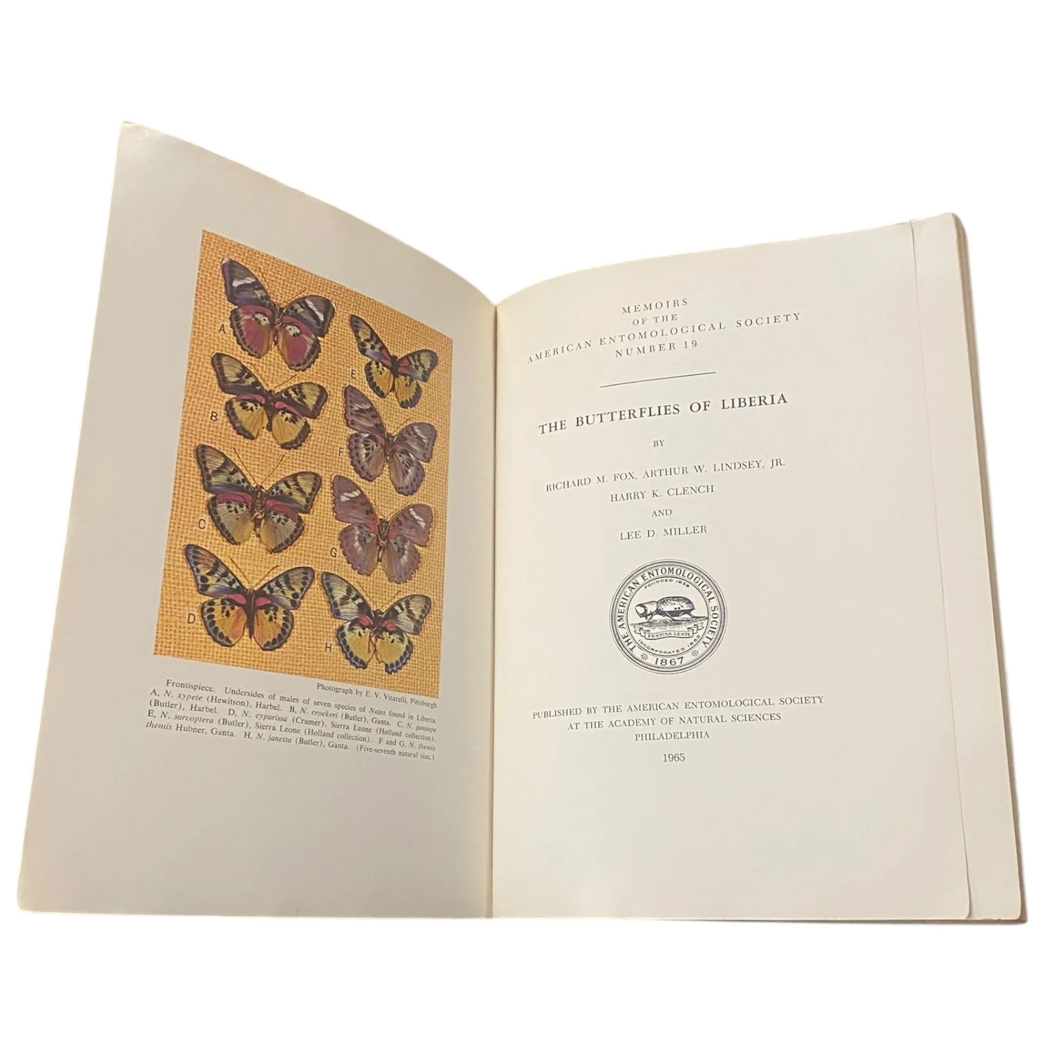The Butterflies of Liberia - Image 3