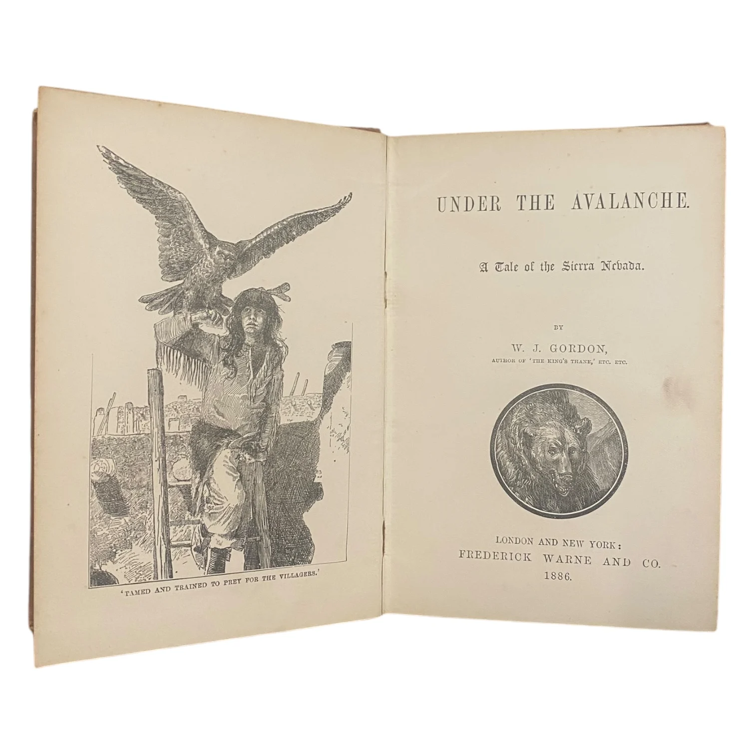 Under the Avalanche (First Edition) - Image 3