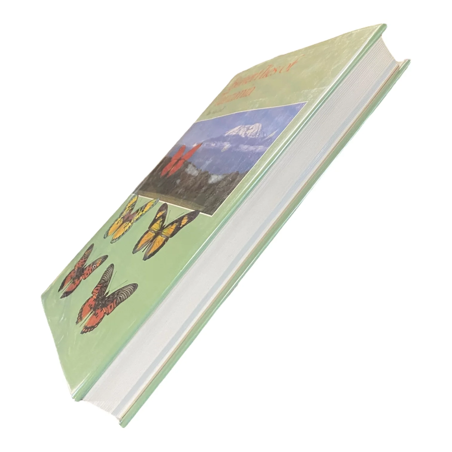 Butterflies of Tanzania with Supplement Edition - Image 4