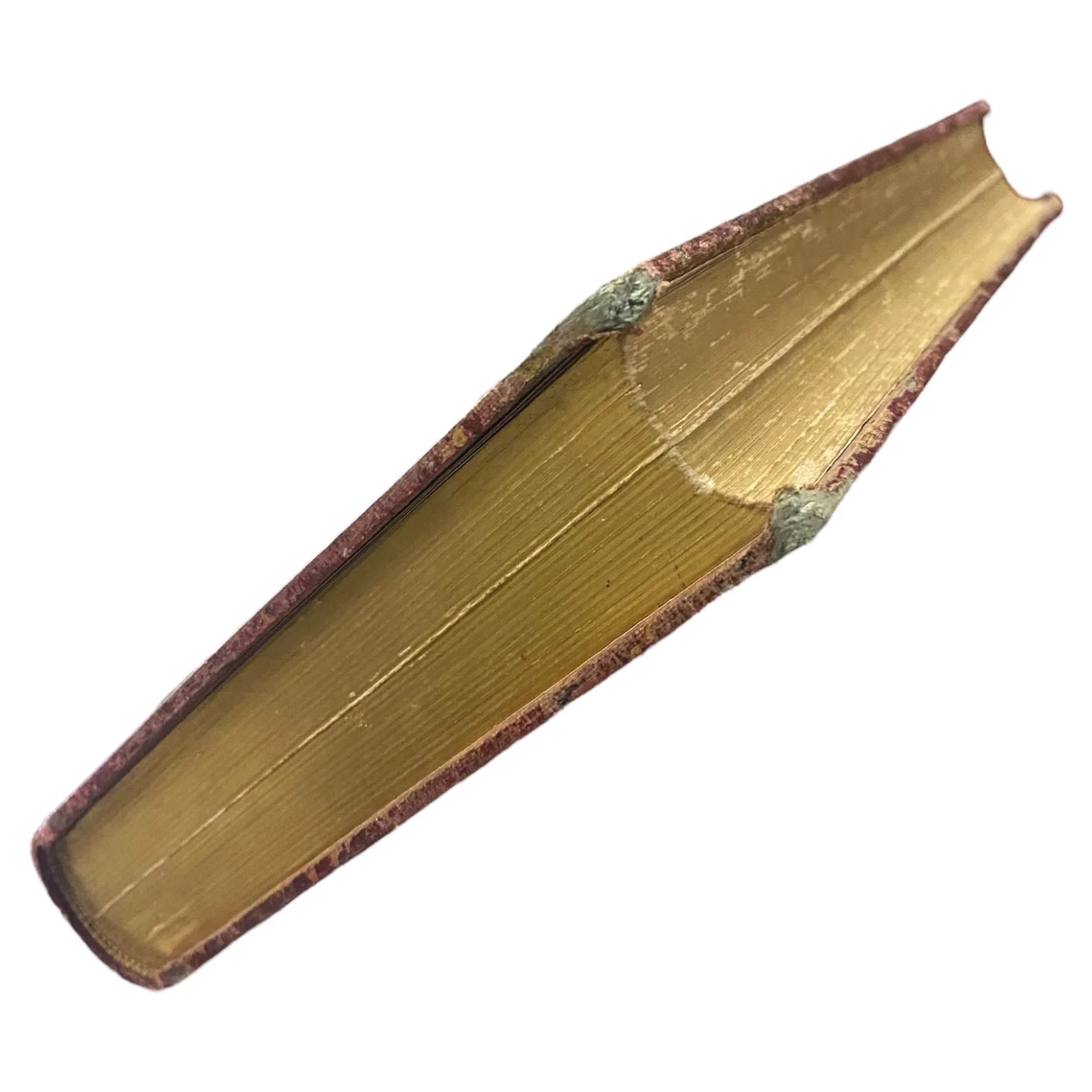 Histoire et Légendes des Plantes Utiles et Curieuses - Image 4