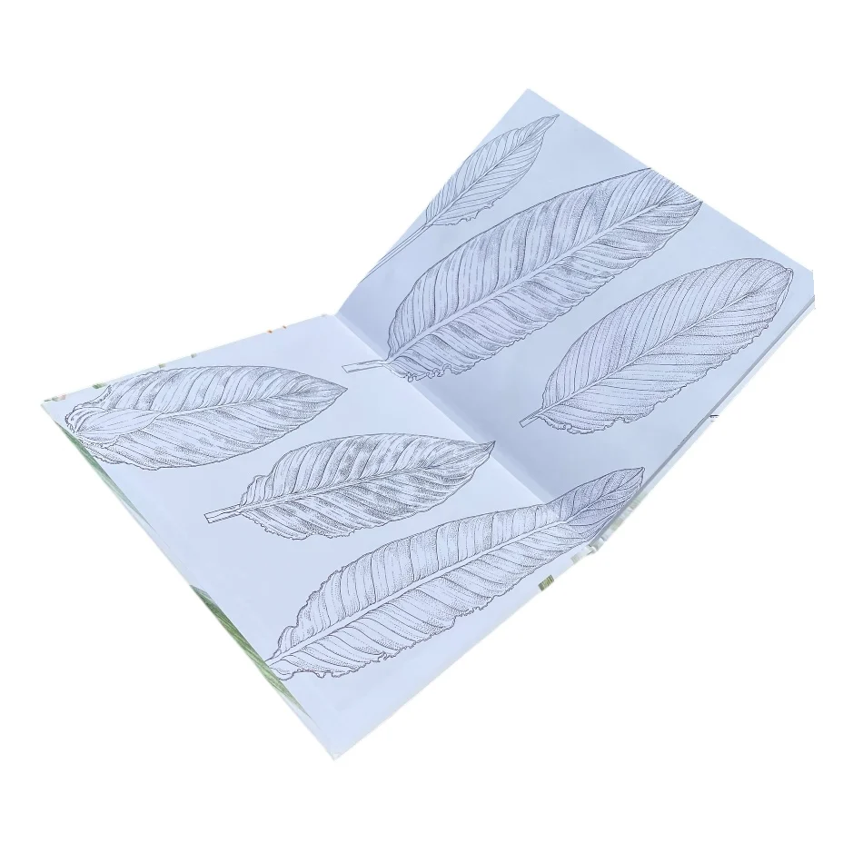 Strelitzias of the World (Signed) - Image 5