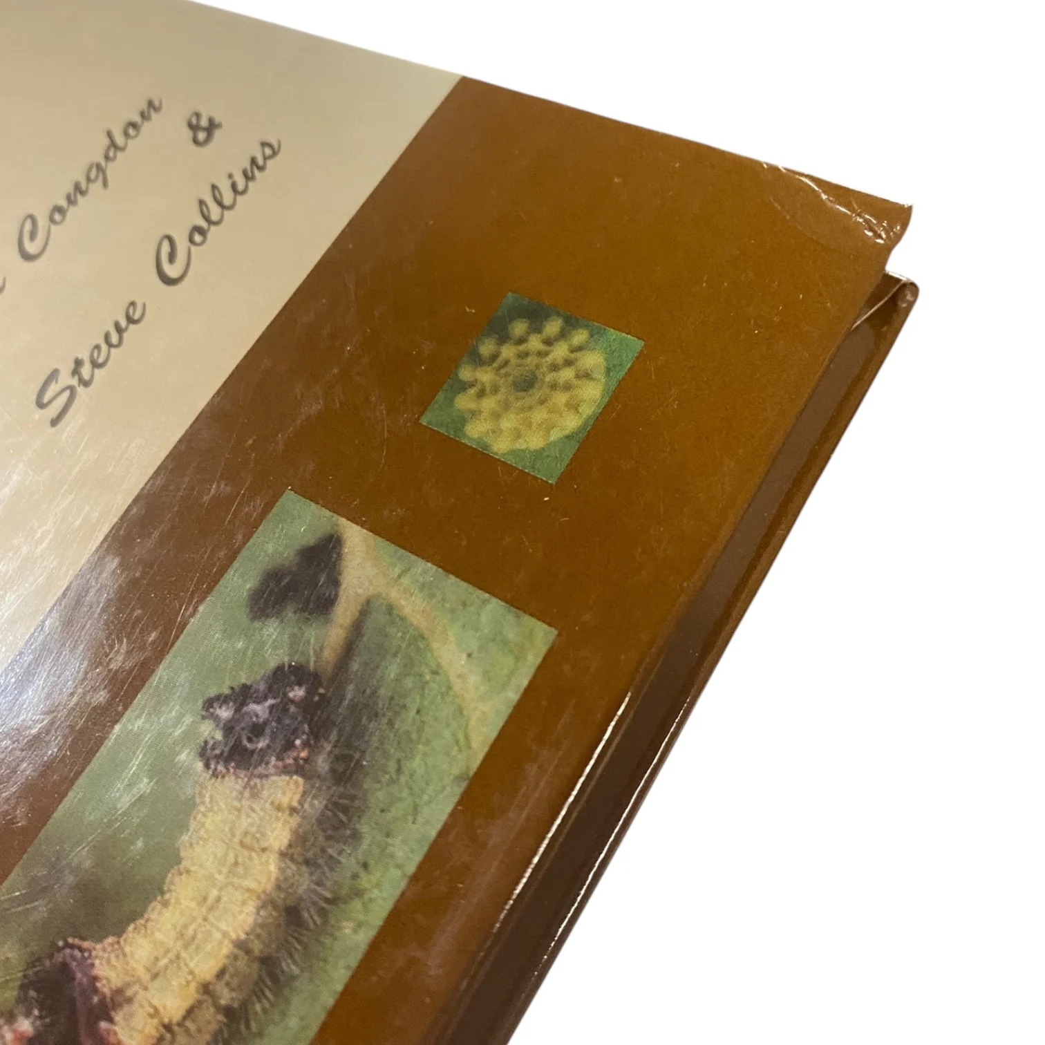 Butterflies of Tanzania with Supplement Edition - Image 5