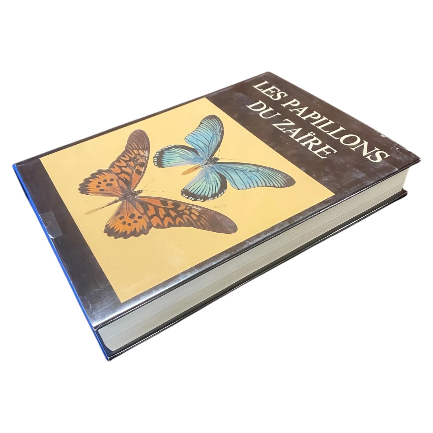 Les Papillons du Zaïre - Image 4